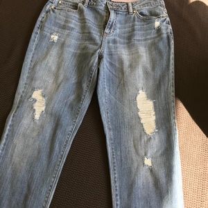 Jennifer Lopez Jeans